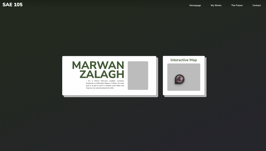 screenshot of the websitee